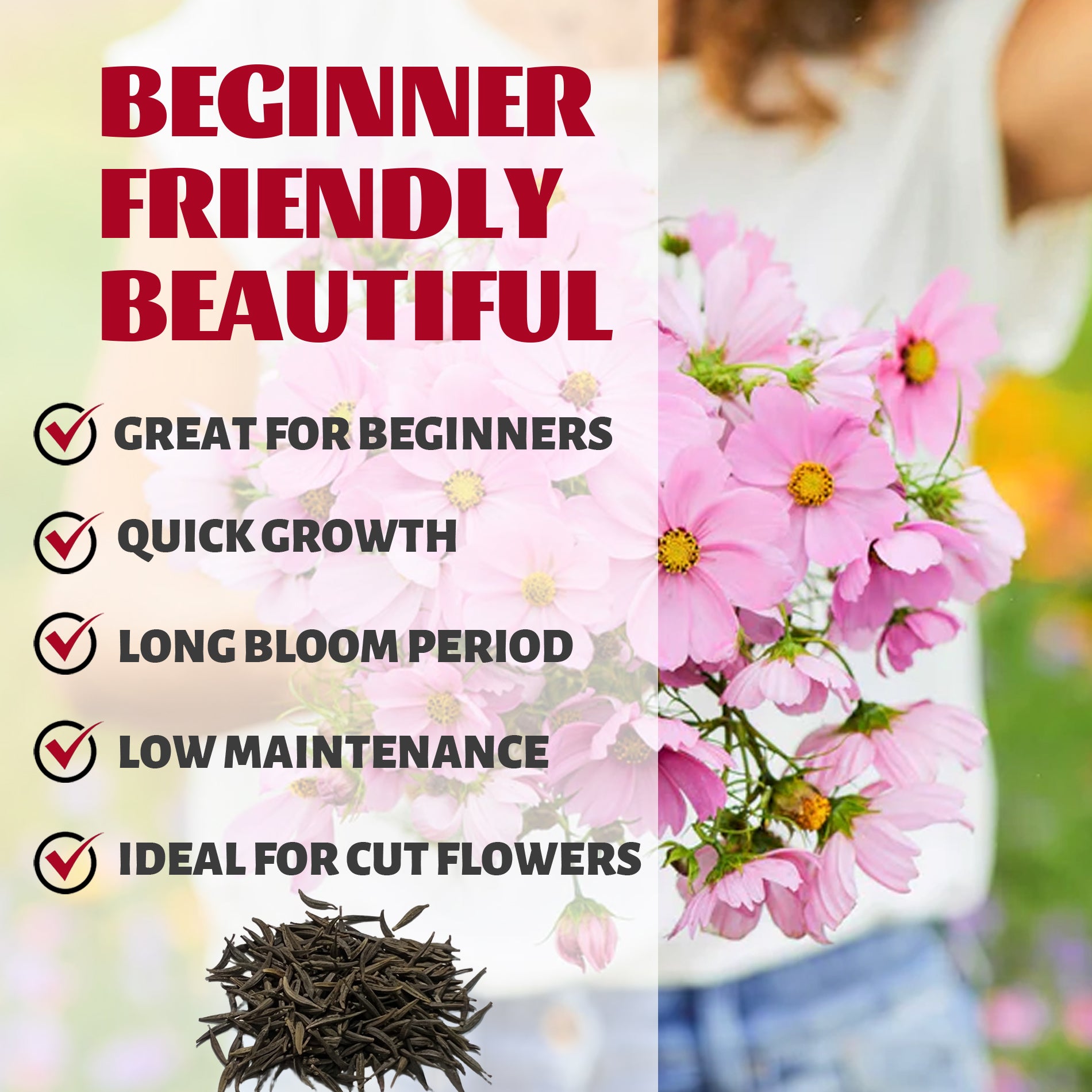 Promotional graphic for flowers with text about benefits and a close-up of pink flowers.Mexican Aster Cosmos Seeds