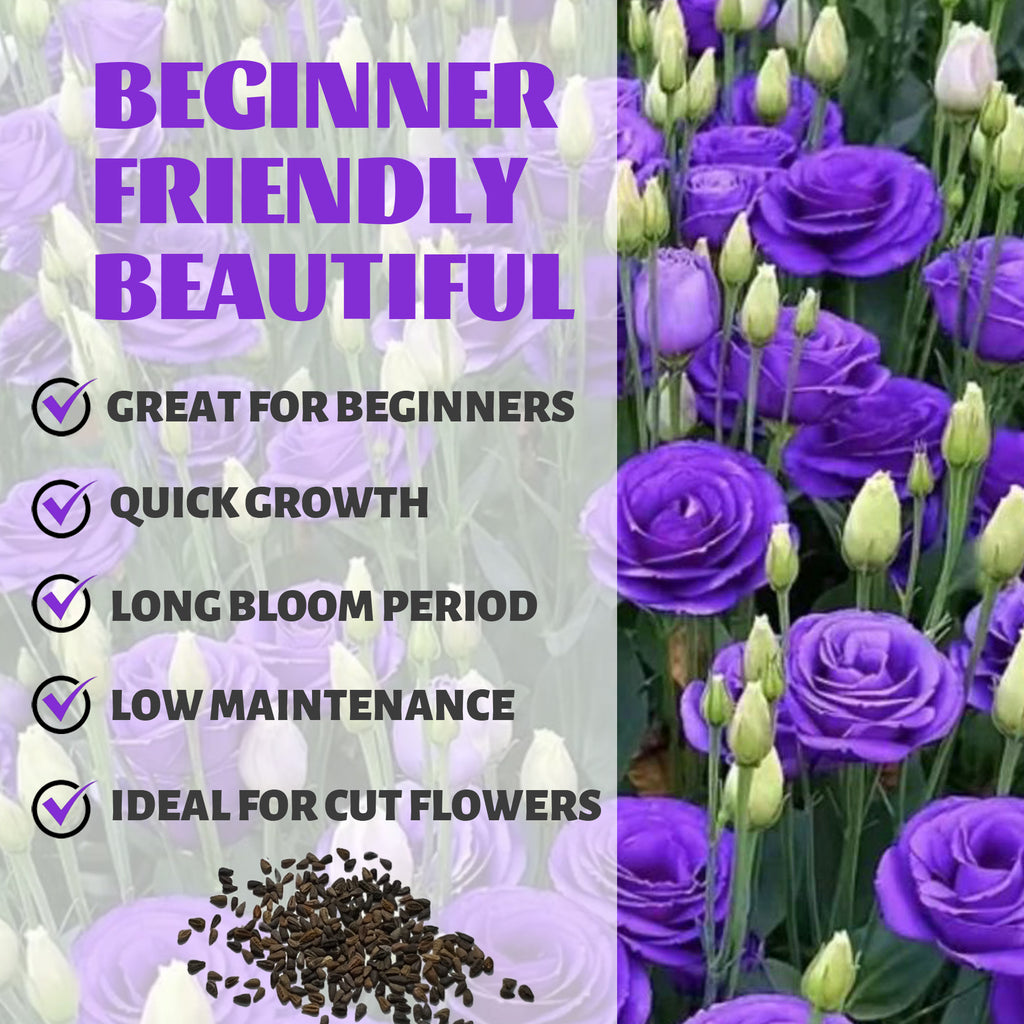 Purple flowers with text highlighting features like 'Great for Beginners', 'Quick Growth', 'Long Bloom Period', 'Low Maintenance', and 'Ideal for Cut Flowers'.Double Rose Varieties Lisianthus Seeds