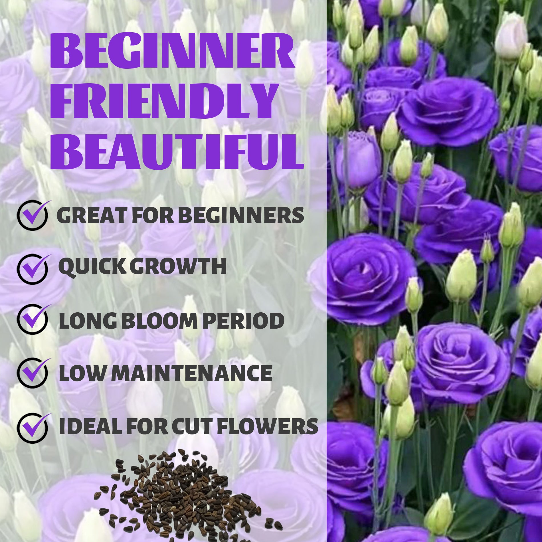 Purple flowers with text highlighting features like 'Great for Beginners', 'Quick Growth', 'Long Bloom Period', 'Low Maintenance', and 'Ideal for Cut Flowers'.Double Rose Varieties Lisianthus Seeds
