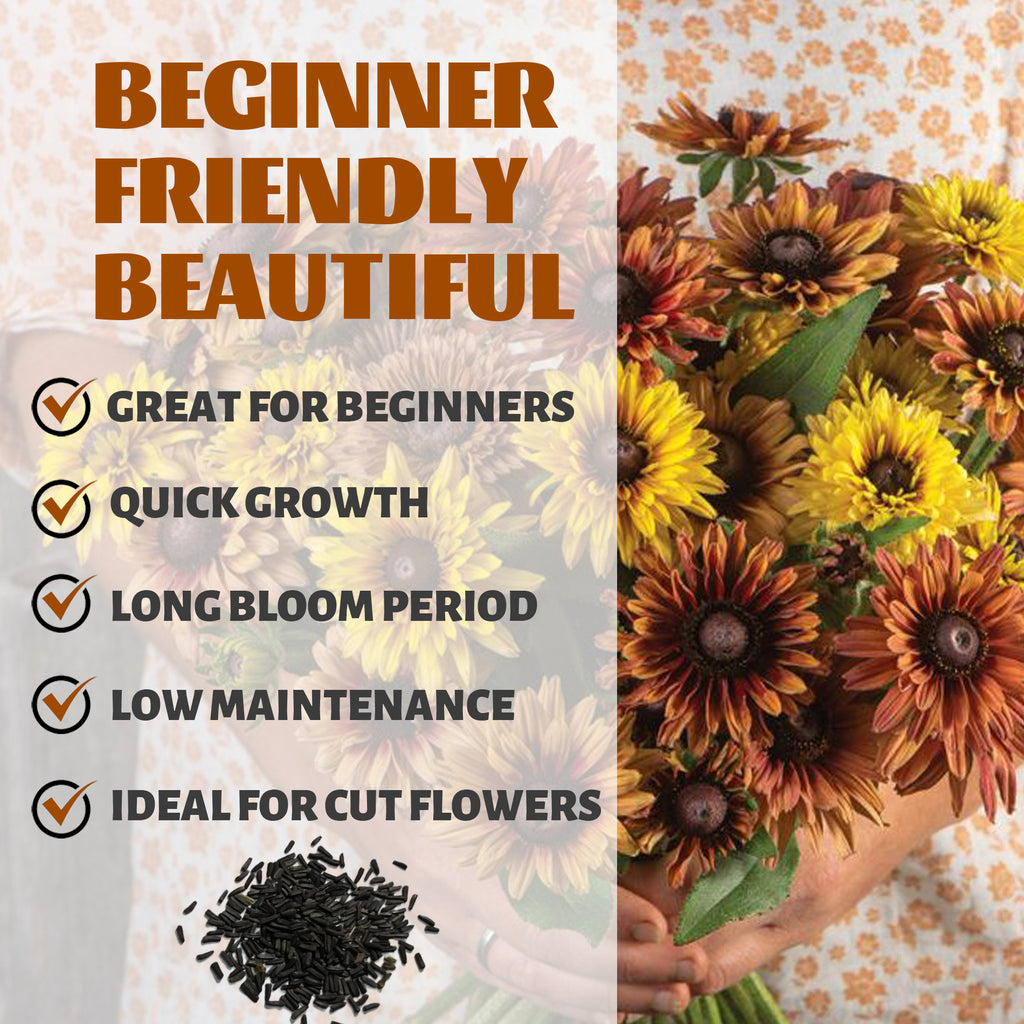 Black-Eyed Susan Rudbeckia Seeds with text highlighting features like 'Great for Beginners', 'Quick Growth', 'Long Bloom Period', 'Low Maintenance', and 'Ideal for Cut Flowers'.