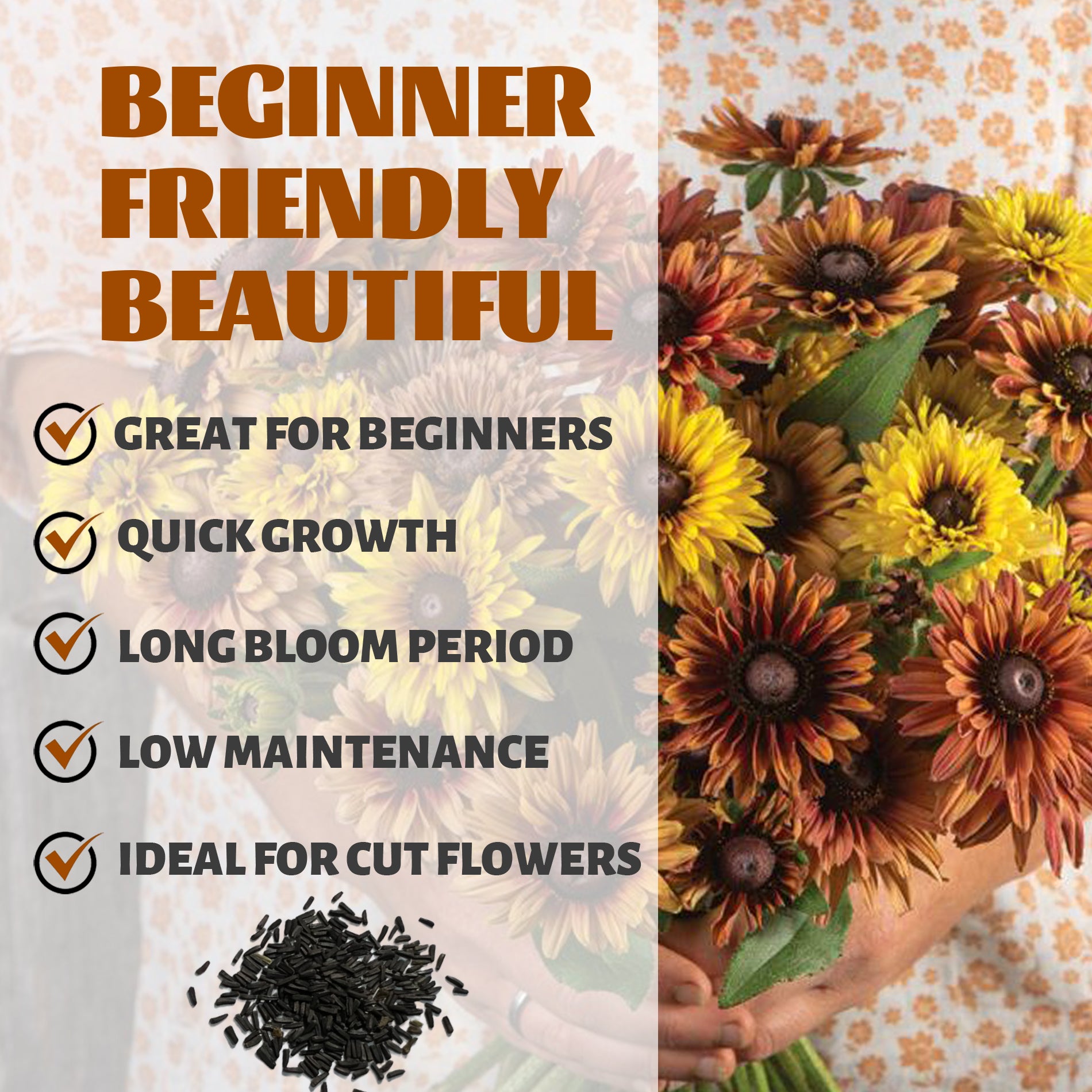 Black-Eyed Susan Rudbeckia Seeds with text highlighting features like 'Great for Beginners', 'Quick Growth', 'Long Bloom Period', 'Low Maintenance', and 'Ideal for Cut Flowers'.