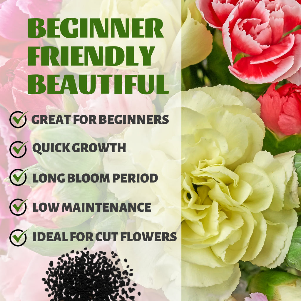 Floral arrangement with text highlighting features like 'Beginner Friendly', 'Beautiful', 'Great for Beginners', 'Quick Growth', 'Long Bloom Period', 'Low Maintenance', and 'Ideal for Cut Flowers'.Sweet William Dianthus Seeds