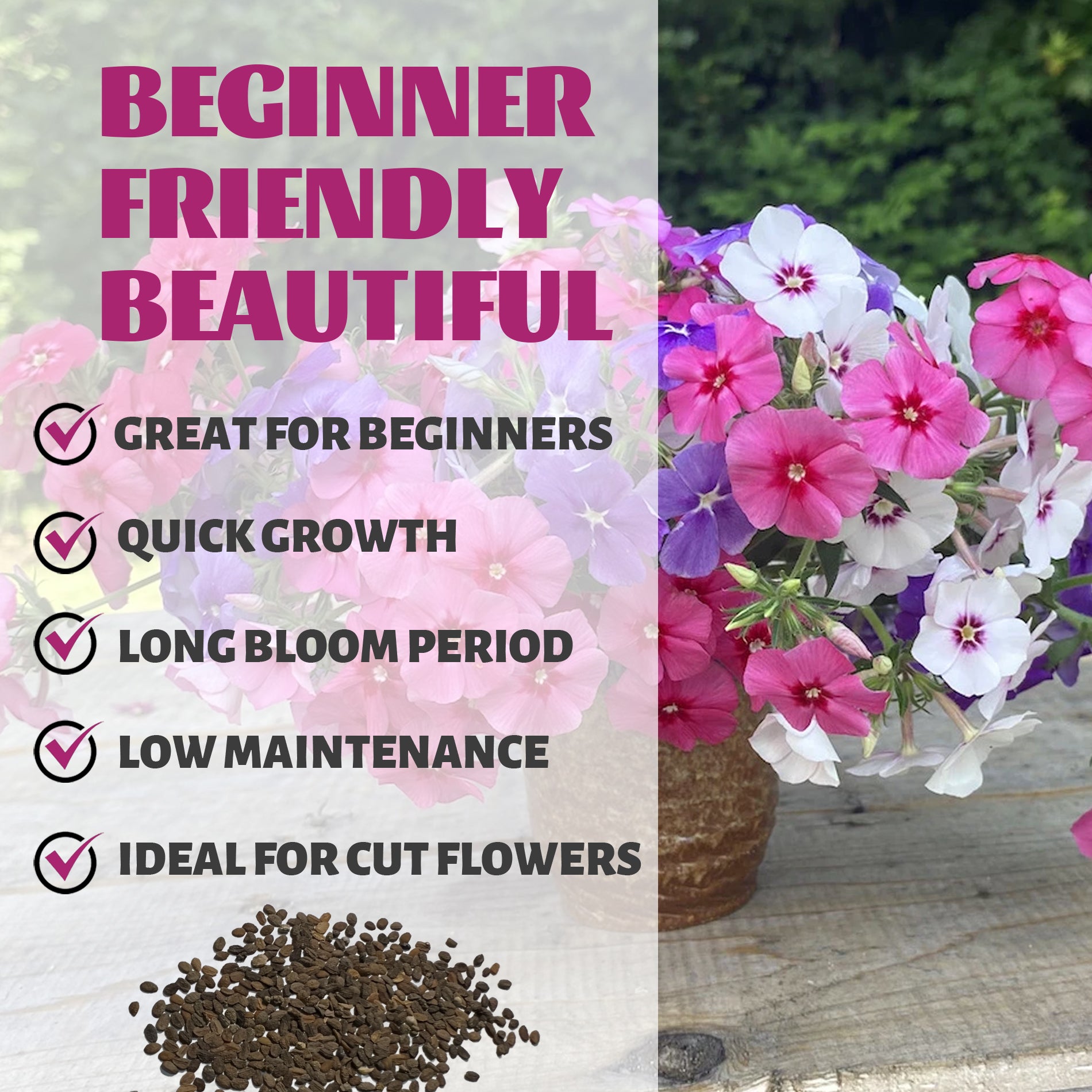 Floral arrangement with text highlighting features like 'Great for Beginners', 'Quick Growth', 'Long Bloom Period', 'Low Maintenance', and 'Ideal for Cut Flowers'.Annual Drummondii Phlox Seeds