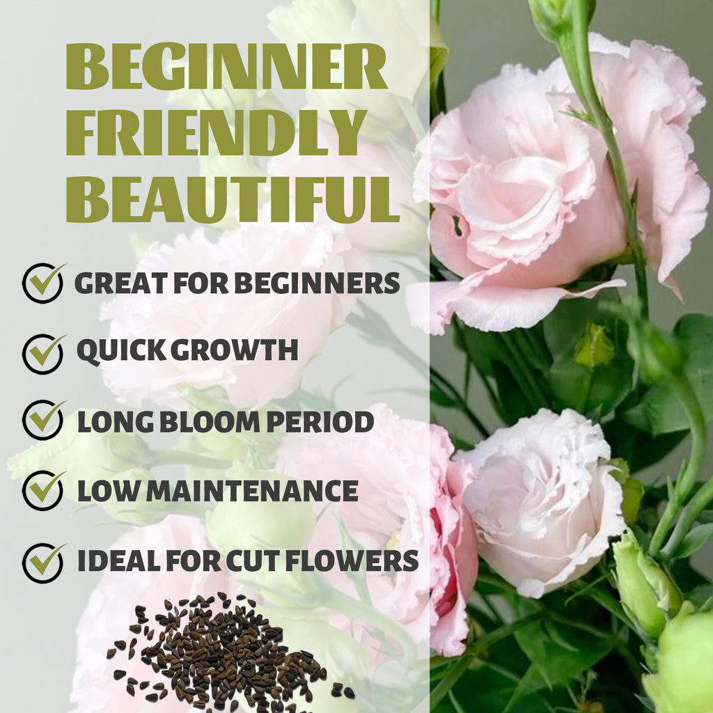 Pink flowers with text highlighting features like 'Great for Beginners', 'Quick Growth', 'Long Bloom Period', 'Low Maintenance', and 'Ideal for Cut Flowers'.Double Rose Varieties Lisianthus Seeds