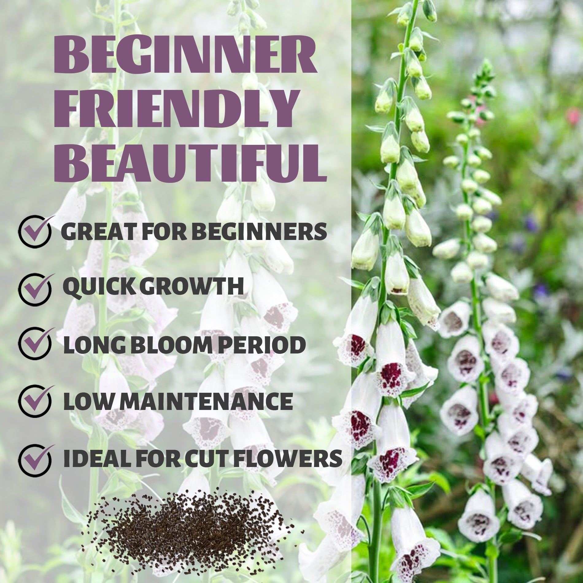 Floral arrangement with text highlighting features like 'Great for Beginners', 'Quick Growth', 'Long Bloom Period', 'Low Maintenance', and 'Ideal for Cut Flowers'.Foxglove Spires Digitalis Seeds