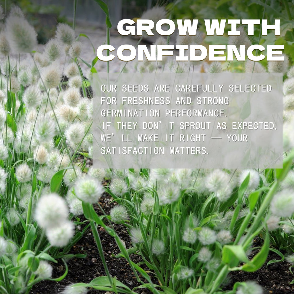 White flowers with text overlay about confidence and satisfaction in a garden setting.Feathertop Ornamental Grass Seeds