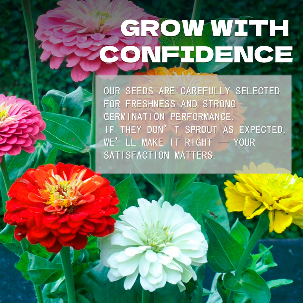 Elegant Cut & Come Again Zinnia Seeds Colorful flowers with text overlay about seed selection and satisfaction guarantee.
