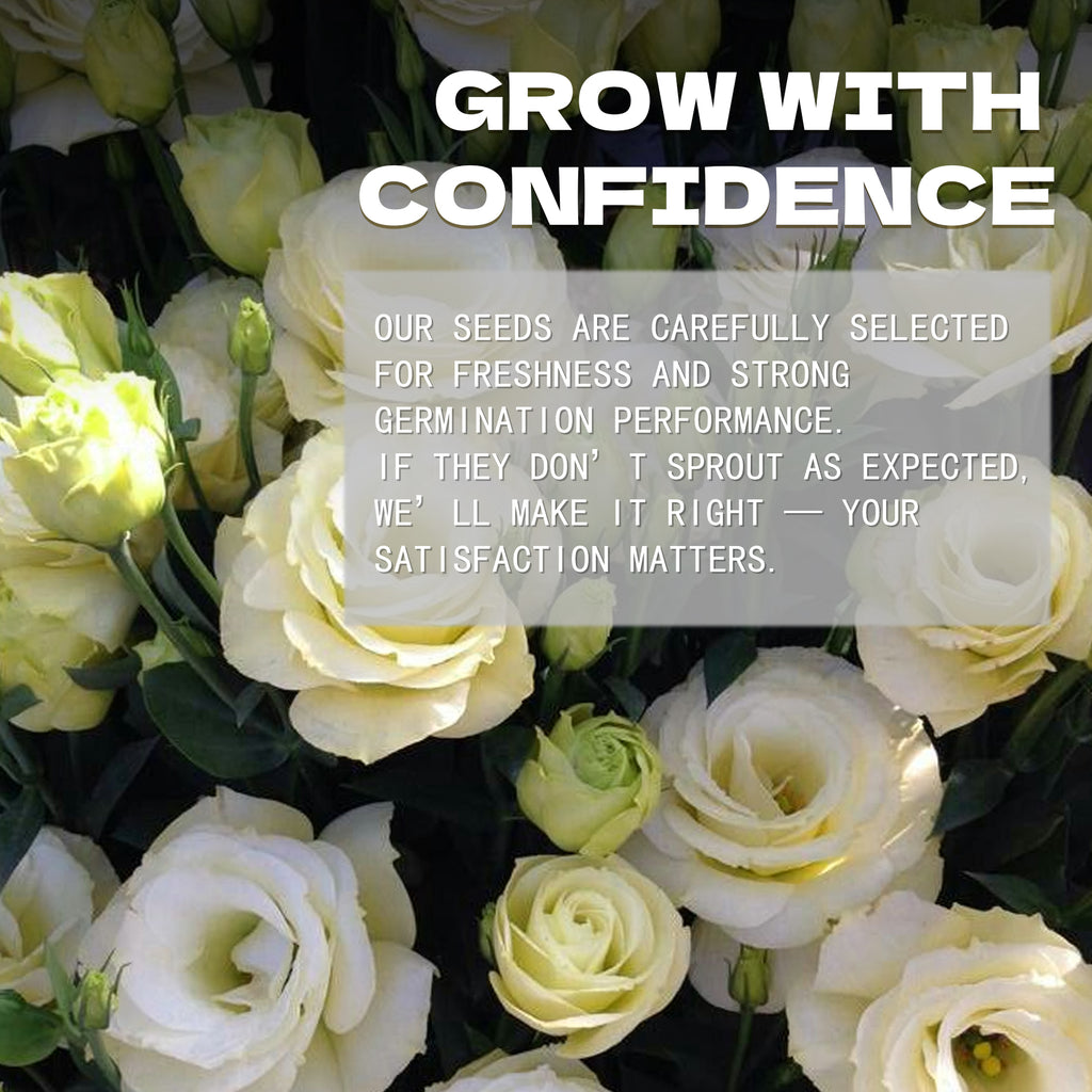 Double Rose Varieties Lisianthus Seeds.Bouquet of white roses with promotional text overlay on a black background