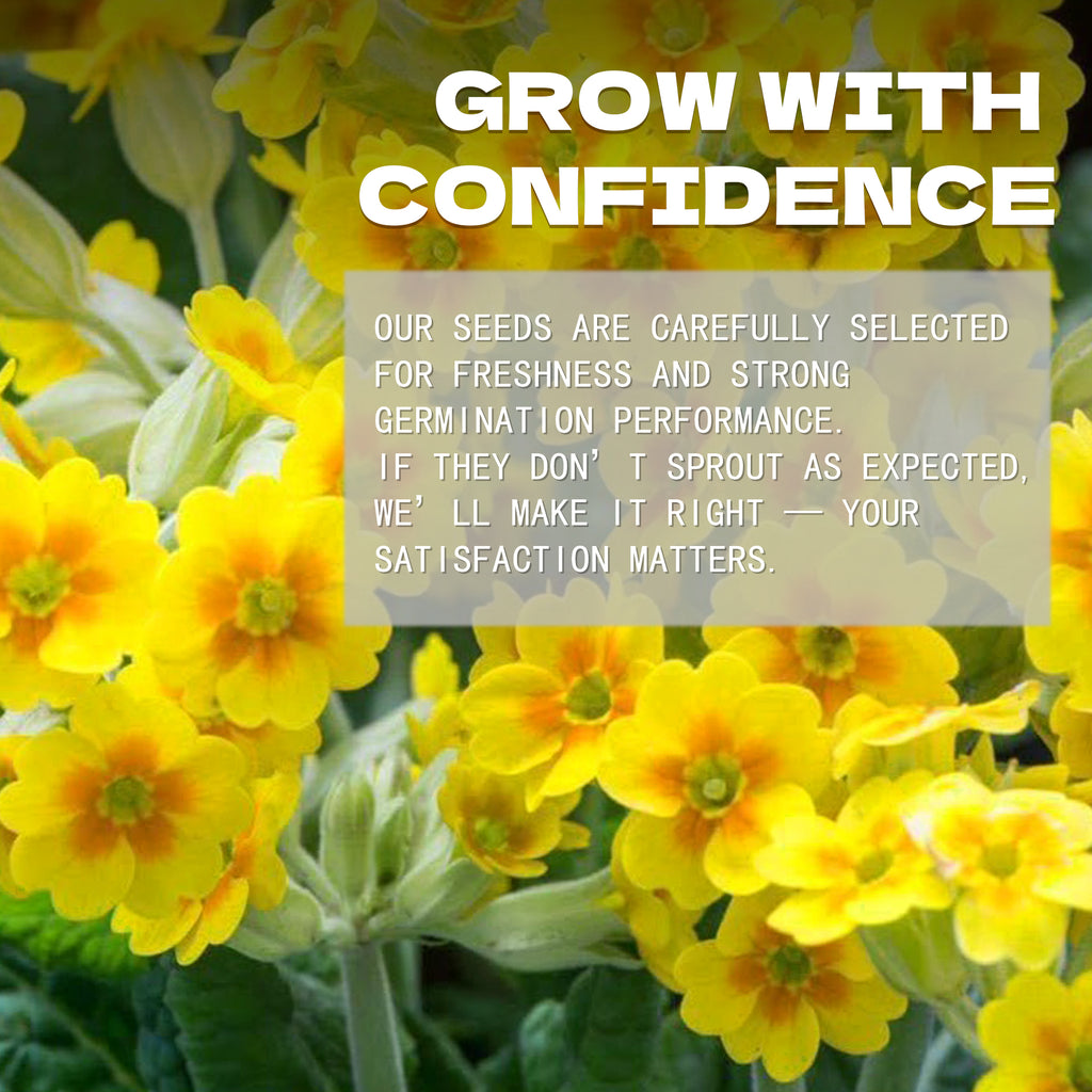 Tangerine Gem Marigold Seed Yellow flowers with text overlay about confidence and satisfaction in a seed company's message.