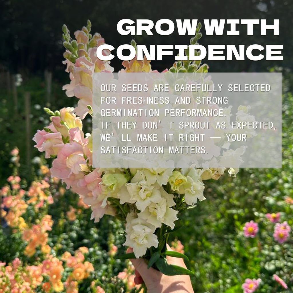Bouquet of Tall Antirrhinum Snapdragon Seeds flowers with text overlay about confidence and satisfaction in a garden setting