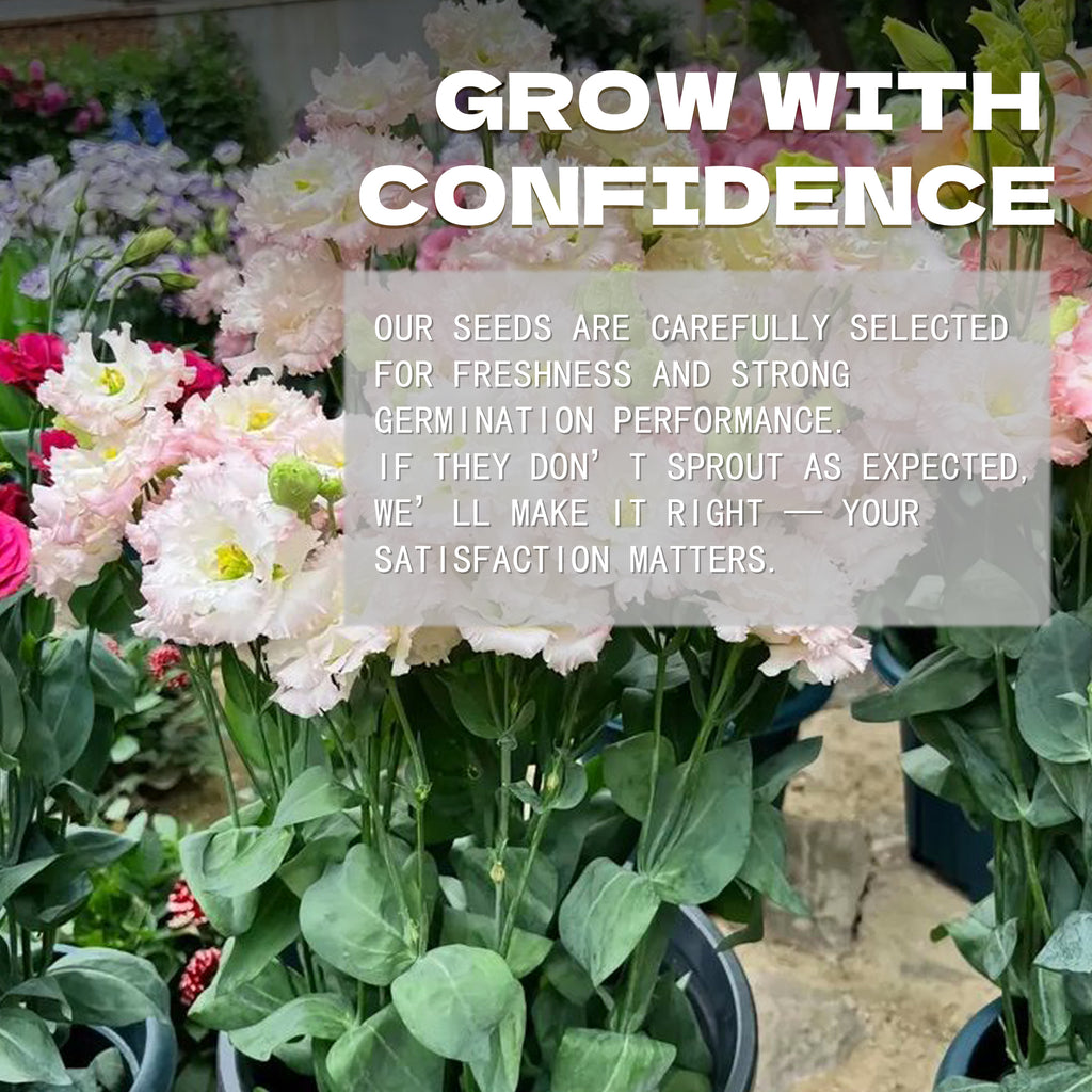Floral arrangement with text overlay about confidence and satisfaction in product selection.Double Rose Varieties Lisianthus Seeds