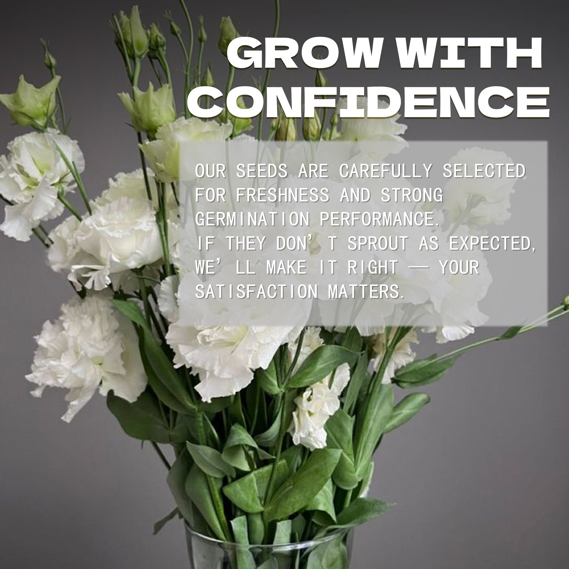 Double Rose Varieties Lisianthus Seeds White flowers in a vase with promotional text on a gray background