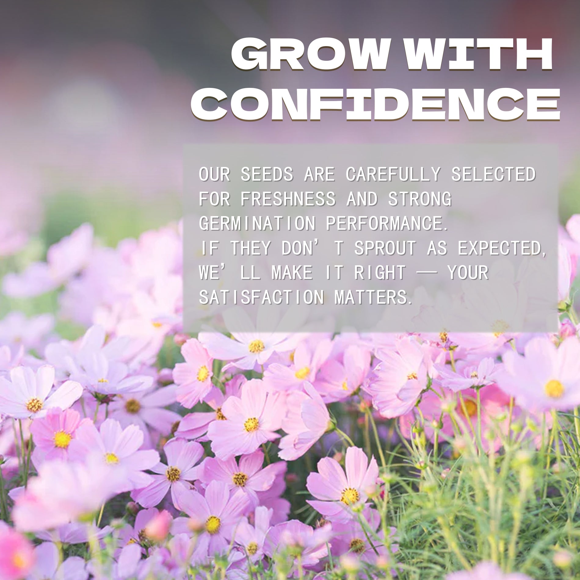 Floral background with text overlay 'Grow with Confidence' and promotional message.Mexican Aster Cosmos Seeds