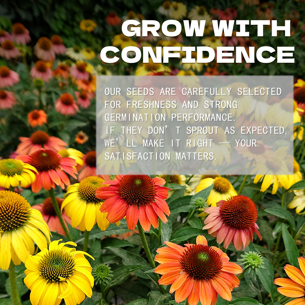 Colorful flowers with text overlay about Coneflower Echinacea Seeds selection and satisfaction guarantee.