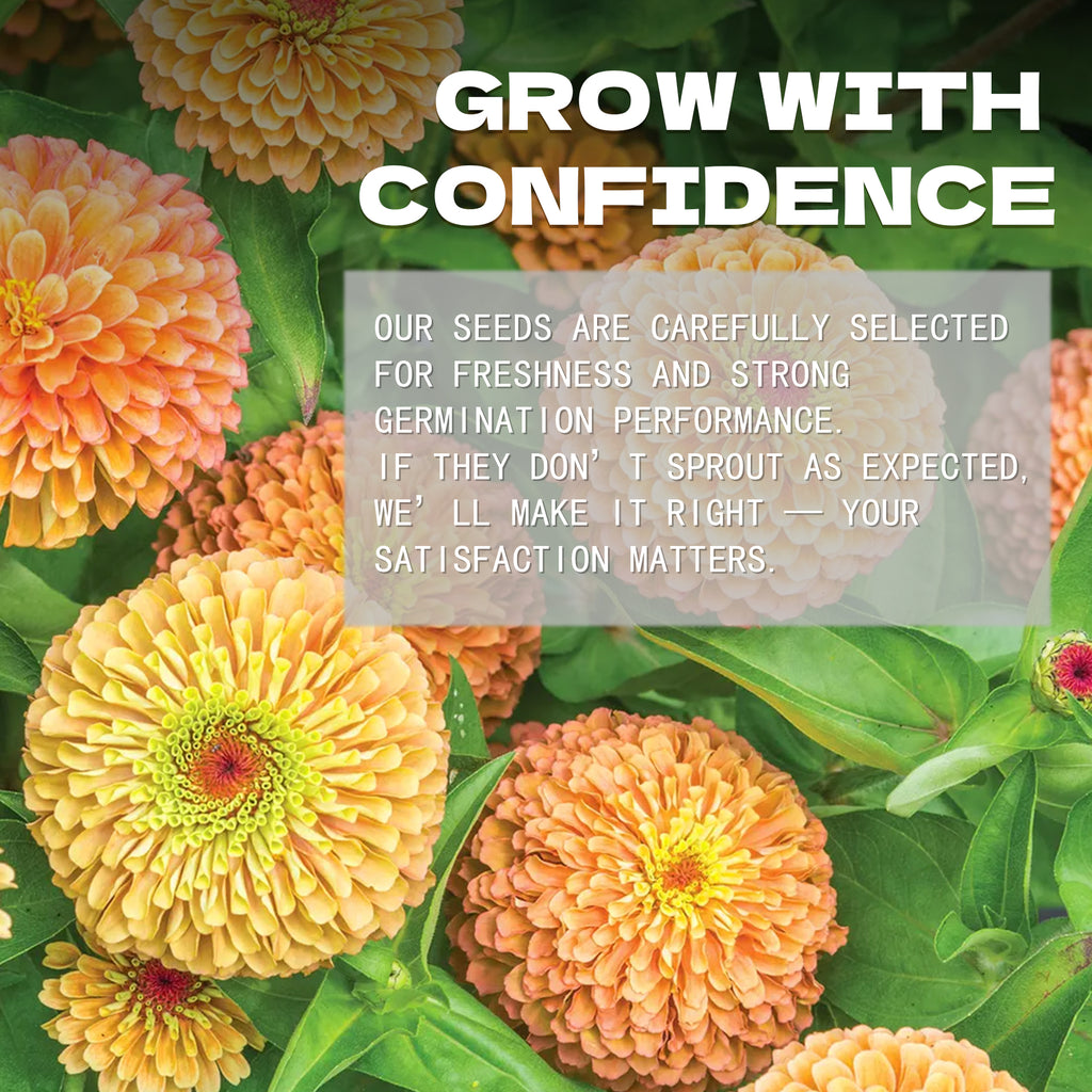 Floral background with text overlay about Zinnia Seeds Elegant Cut & Come Again selection and satisfaction guarantee.