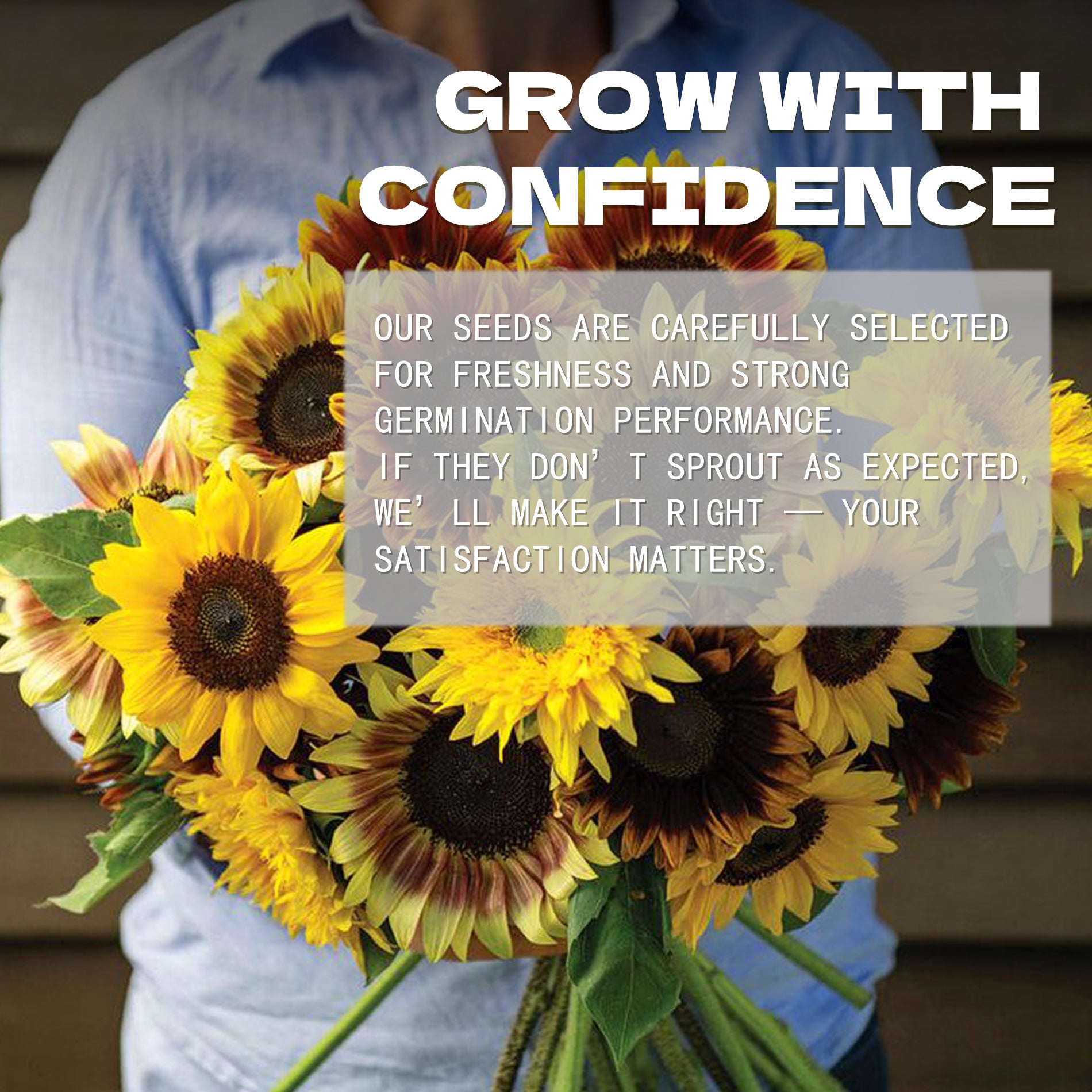 Black-Eyed Susan Rudbeckia Seeds Bouquet of sunflowers with promotional text overlay