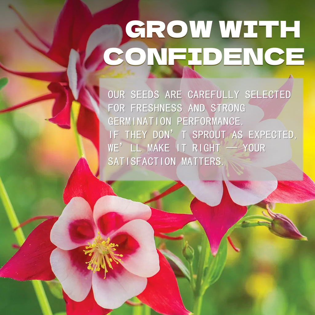 Floral background with text about confidence and satisfaction in a Granny’s Bonnet Columbine Seeds company's message.