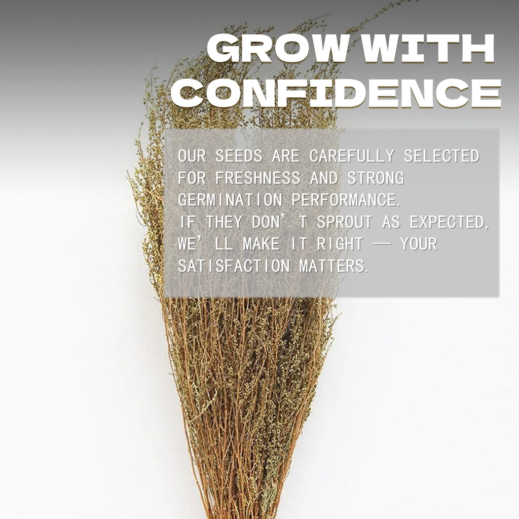 Sweet Annie Aromatic Foliage Artemisia Seeds.Text overlay on a plant with promotional message about confidence and satisfaction.