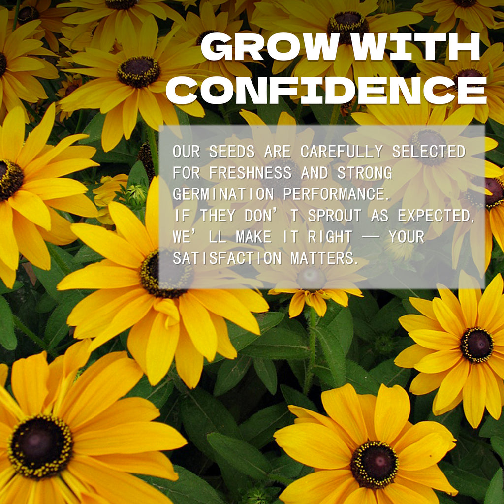 Black-Eyed Susan Rudbeckia Seeds Yellow flowers with text overlay about confidence and satisfaction in a seed company's message.