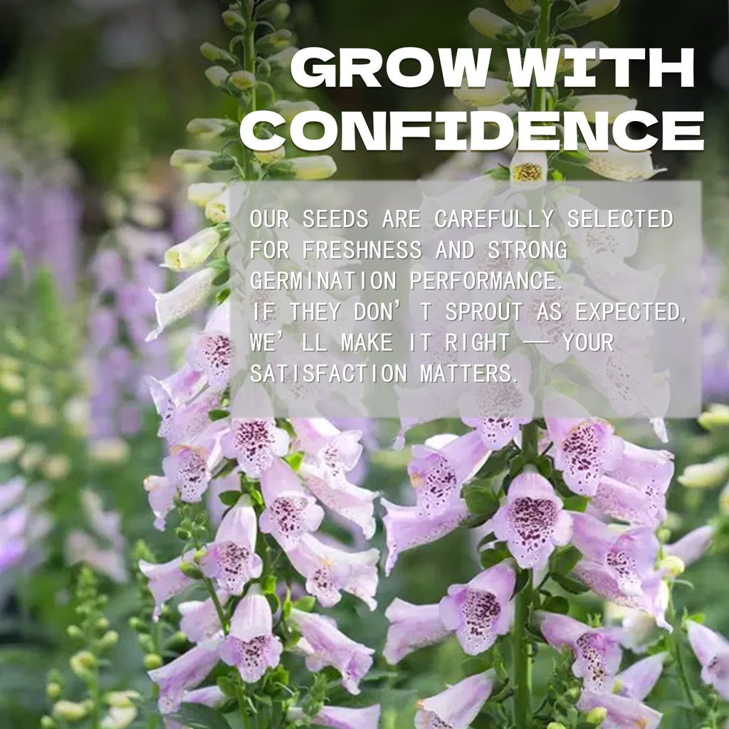 Floral background with text overlay about confidence and satisfaction in Foxglove Spires Digitalis Seeds selection.