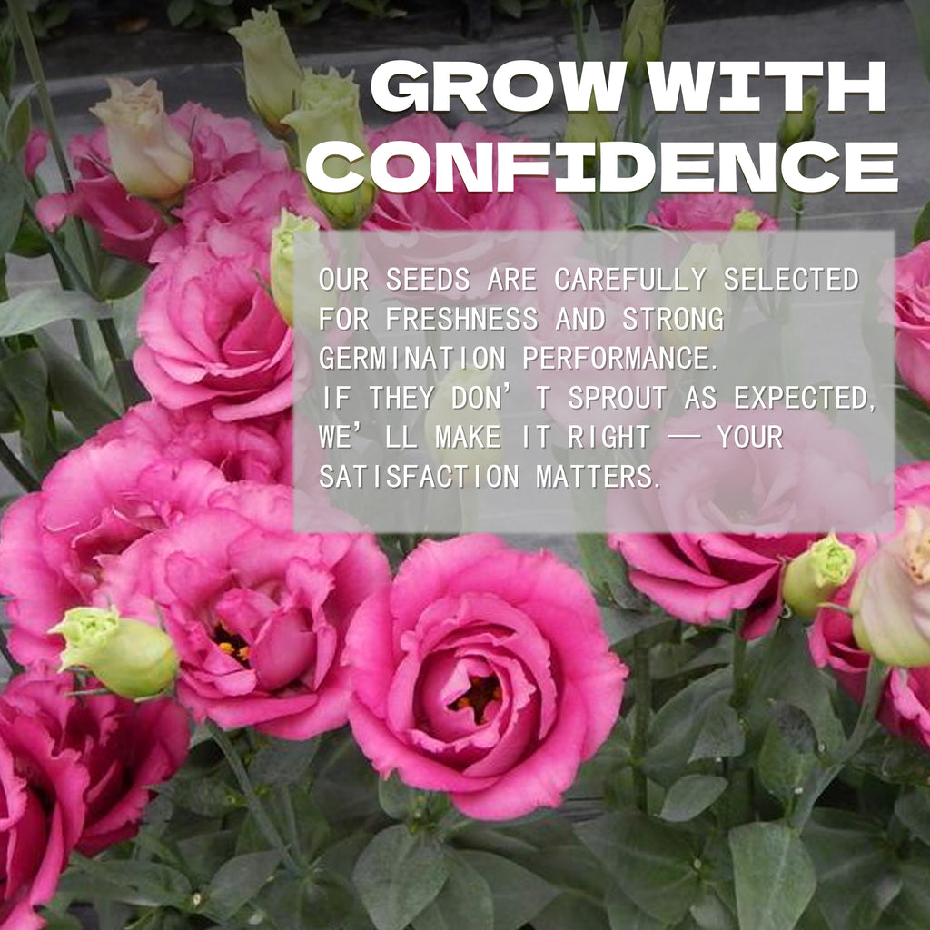 Pink flowers with a text overlay about confidence and satisfaction in a seed company's message.Double Rose Varieties Lisianthus Seeds