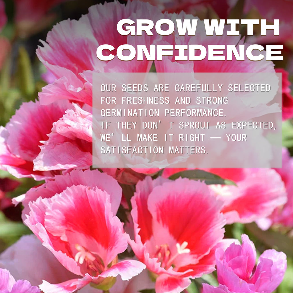 Mountain Garland Clarkia Seeds Pink flowers with text overlay about seed selection and satisfaction guarantee.