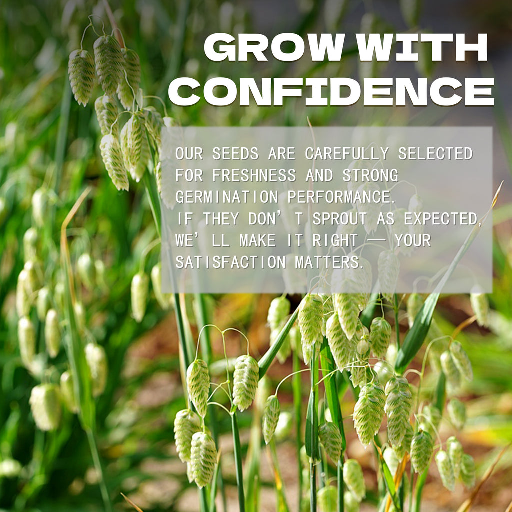 Green plants with text overlay about confidence and satisfaction in product selection. Greater Quaking Grass Ornamental Grass Seeds