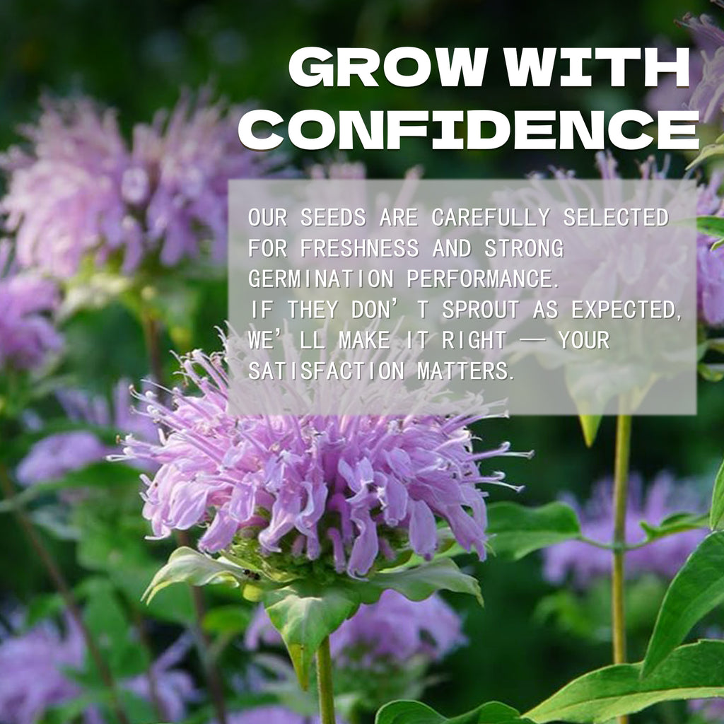 Bee Balm Bergamot Monarda Seeds Purple flowers with a text overlay about seed selection and satisfaction guarantee.