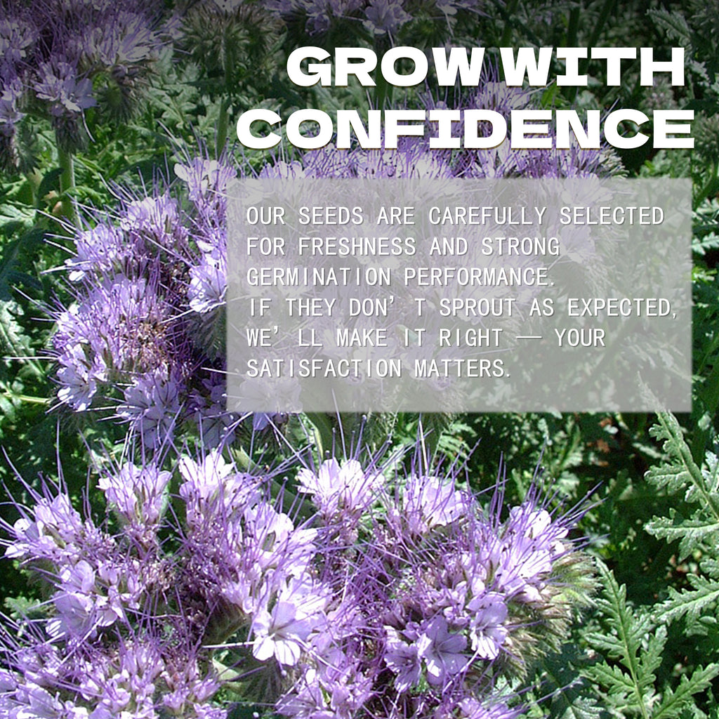 Phacelia Seeds Purple flowers with a text overlay about seed selection and satisfaction guarantee.