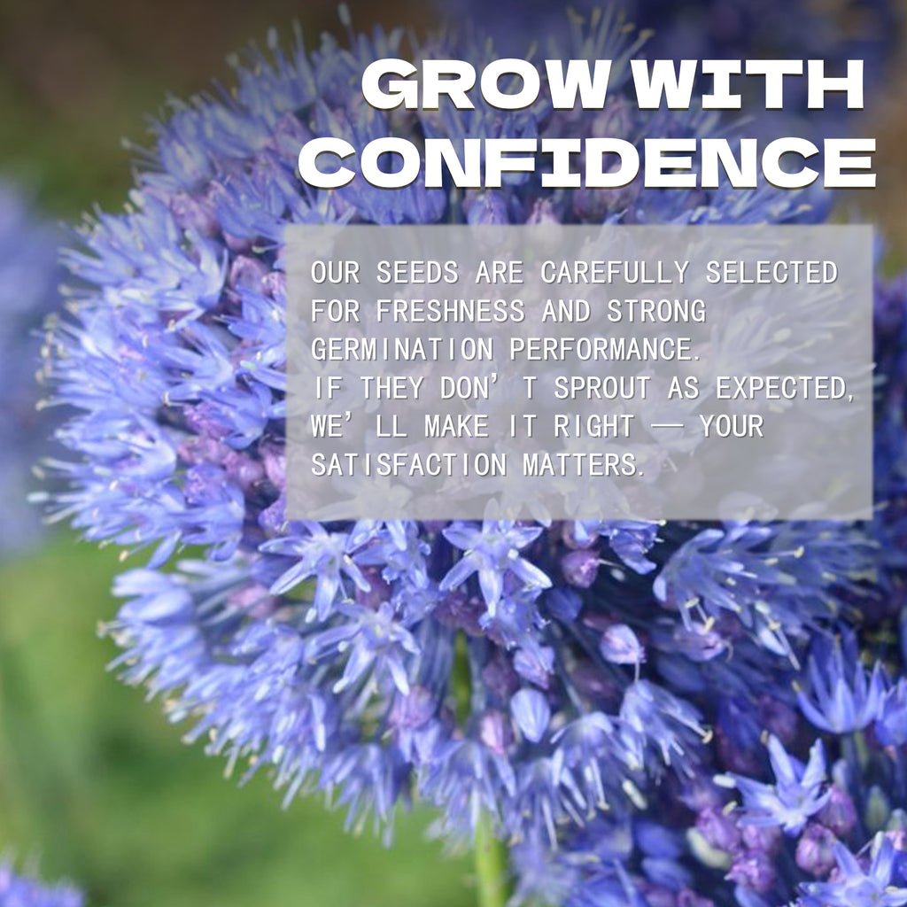 Purple flower with text overlay 'Grow with Confidence' and promotional message.Globe Thistle Steel Blue Echinops Seeds