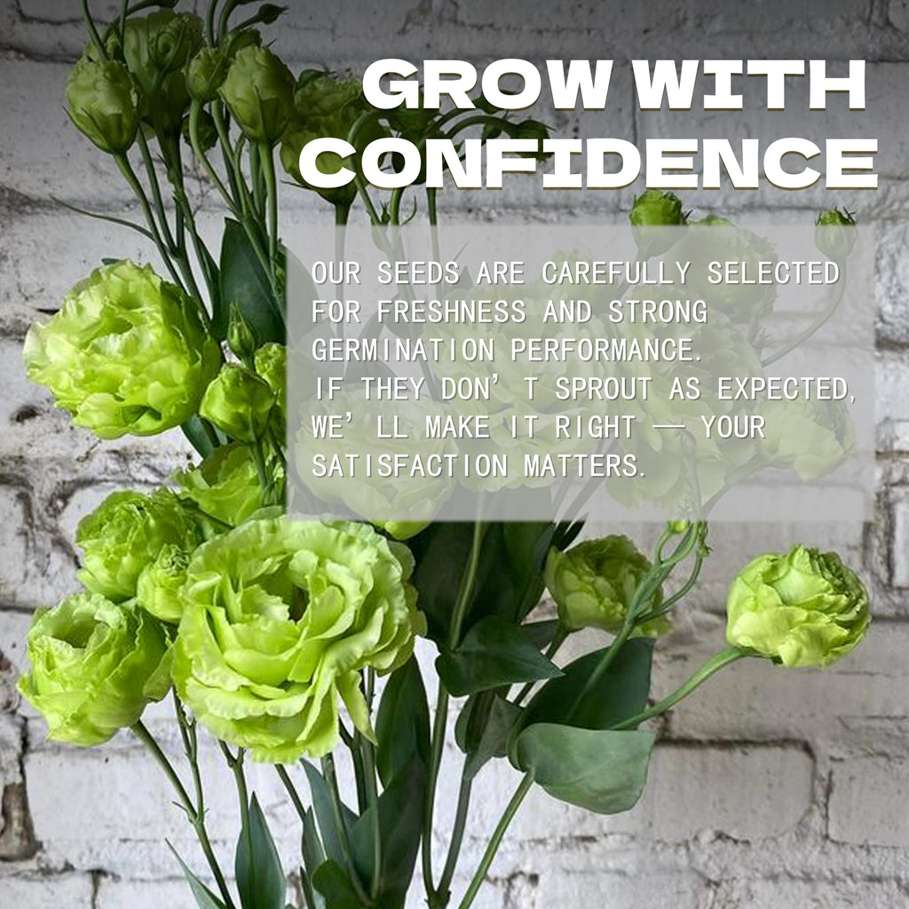 Double Rose Varieties Lisianthus Seeds Green flowers with a brick wall background and motivational text overlay.
