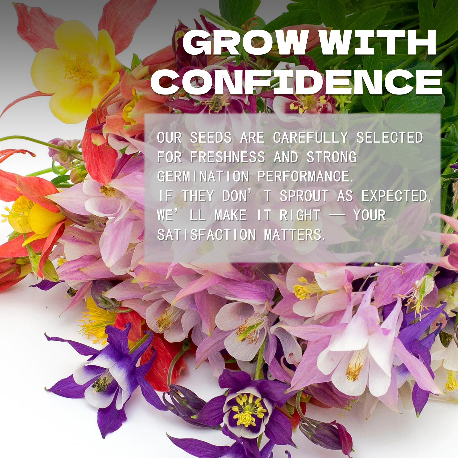 Granny’s Bonnet Columbine Seeds Colorful flowers with text overlay 'Grow with Confidence' and promotional message.