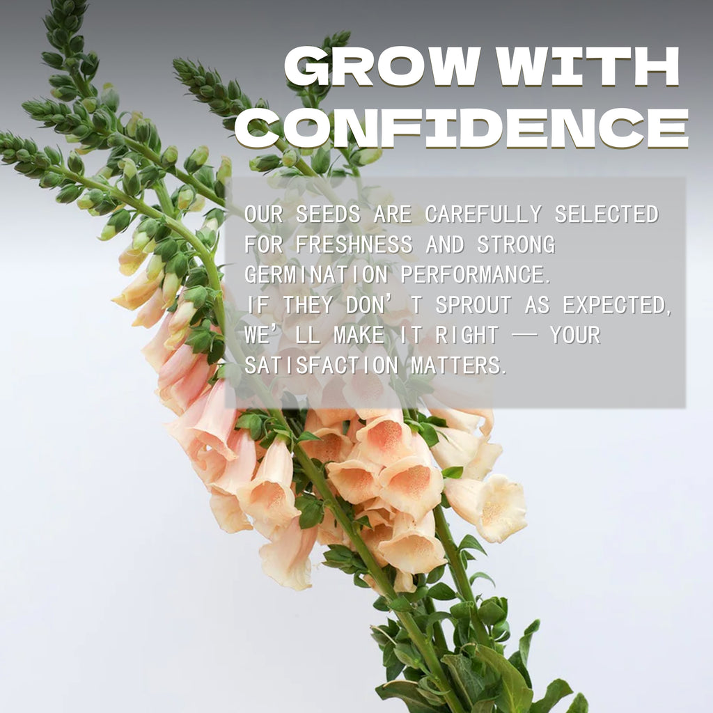 Floral arrangement with text overlay on a light gray background.Foxglove Spires Digitalis Seeds