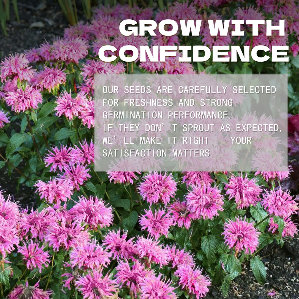 Bee Balm Bergamot Monarda Seeds Pink flowers with a text overlay about seed selection and satisfaction guarantee.