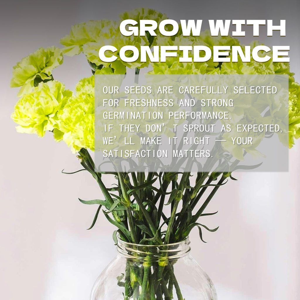 Sweet William Dianthus Seeds Vase of yellow flowers with promotional text overlay on a light background
