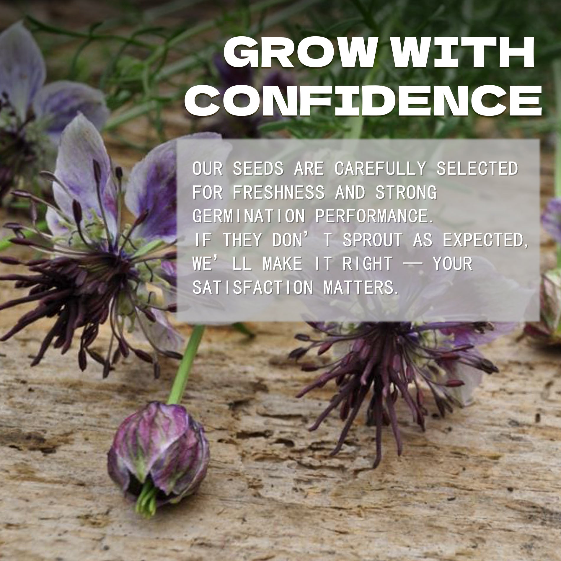 Floral arrangement with text overlay about confidence and satisfaction in product selection.Love-In-A-Mist Nigella Seeds