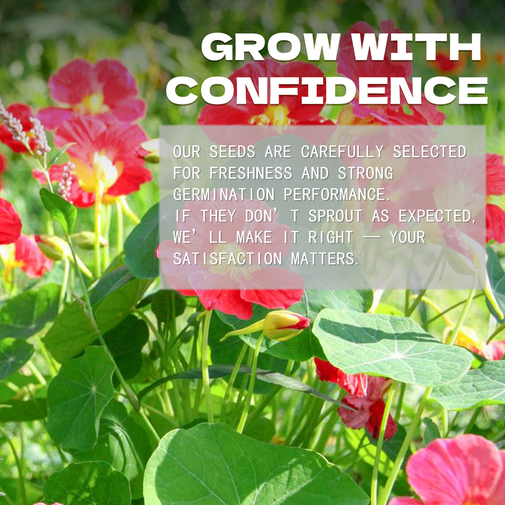 Floral background with text overlay about Indian Cress Nasturtium Seeds  selection and satisfaction guarantee.
